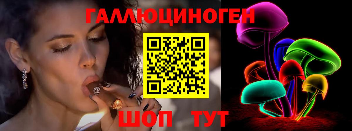 Псилоцибиновые грибы Psilocybine cubensis Нижний Тагил